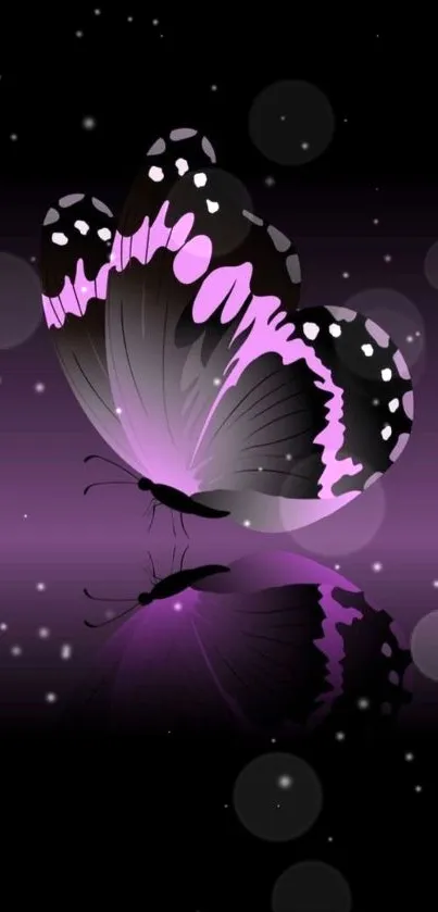 Elegant purple butterfly on black gradient background.