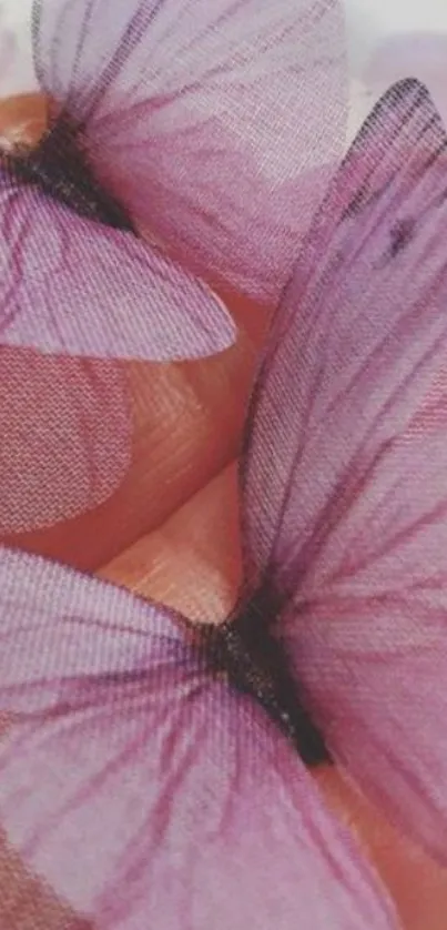 Delicate purple butterflies on fingers.