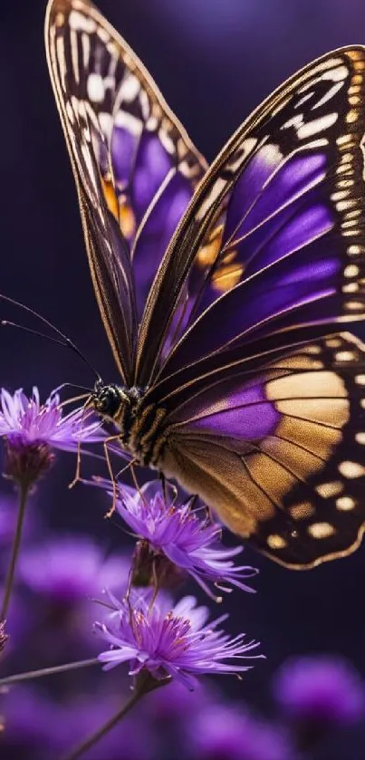 Purple butterfly perched on vivid flowers creating an elegant mobile wallpaper.