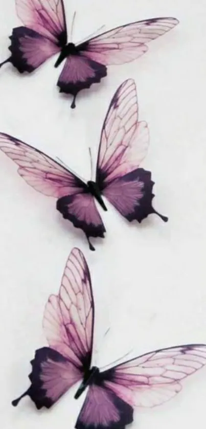 Purple butterflies wallpaper for mobile, elegant and serene design.