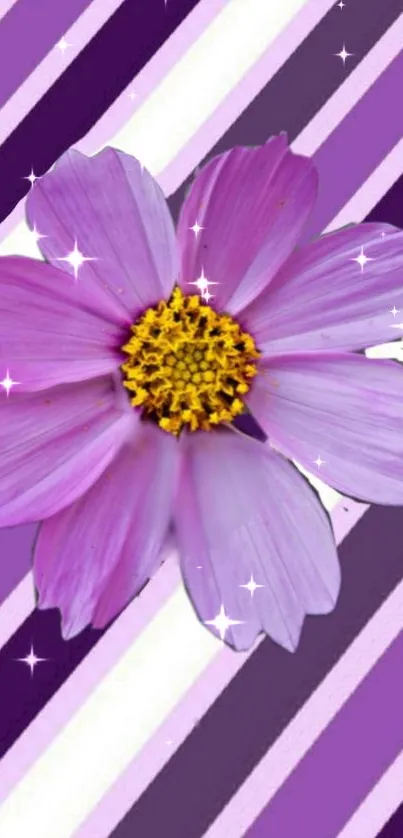 Purple flower with striped background mobile wallpaper.