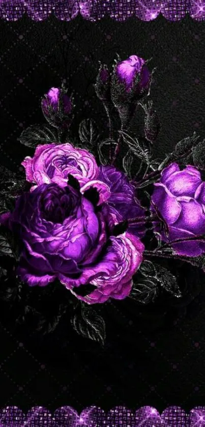 Elegant purple roses on a dark background wallpaper.