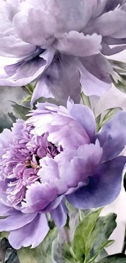 Purple floral wallpaper featuring delicate blossoms.