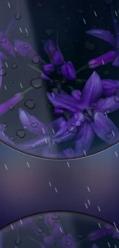 Purple flowers with water droplets on a black background.