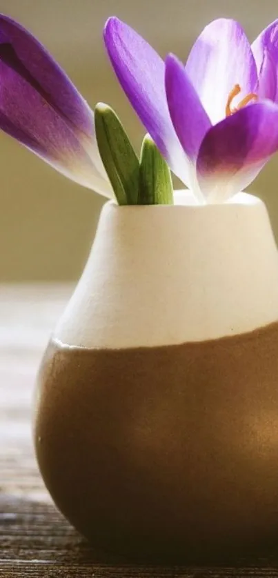 Mobile wallpaper with a purple flower in a ceramic vase.