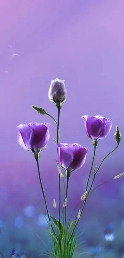 Elegant purple flowers on a serene mobile wallpaper background.