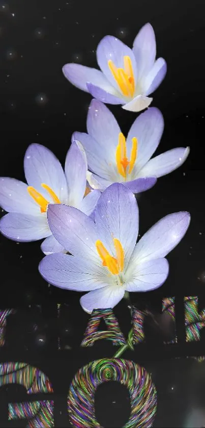 Elegant purple flowers on a dark background.