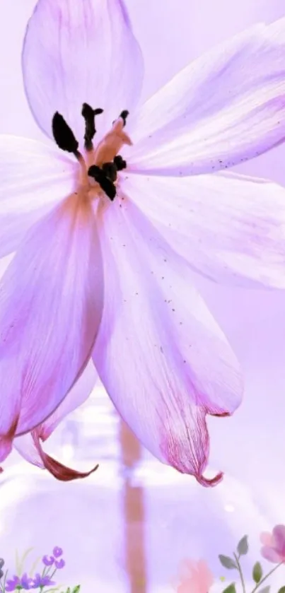 Elegant purple flower in a vase with a serene lavender background.