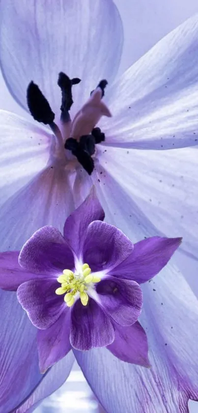 Beautiful purple flower wallpaper with delicate petals on a soft lilac background.