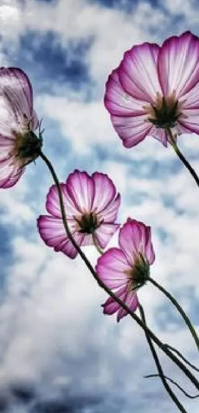 Purple flowers against a cloudy sky in a stunning mobile wallpaper.