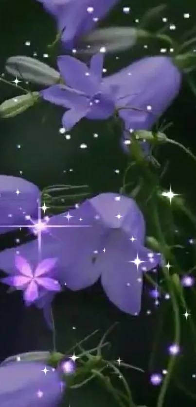 Purple flowers with sparkles on a dark background.