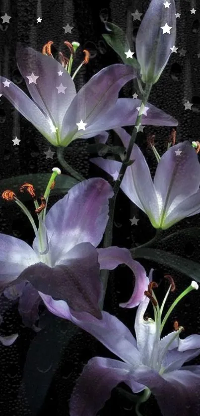 Elegant purple lilies with starry black background.