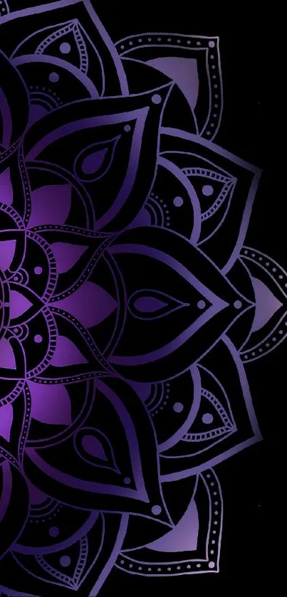 Elegant purple mandala on black background wallpaper for mobile.