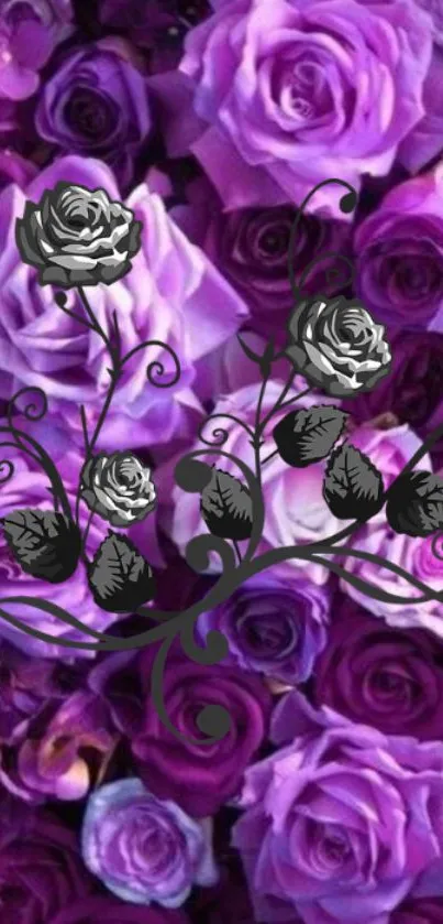 Purple roses with black floral design, elegant phone wallpaper.