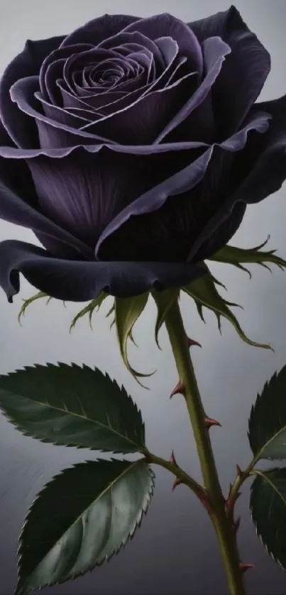 Elegant purple rose with detailed petals on a stem.