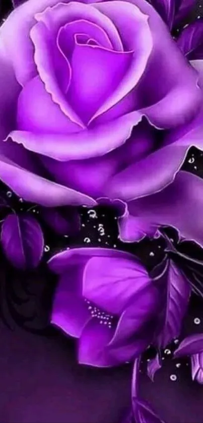 Purple roses wallpaper with elegant floral design.