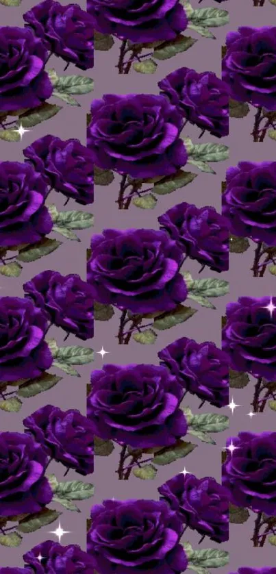 Elegant purple rose pattern wallpaper with floral design.