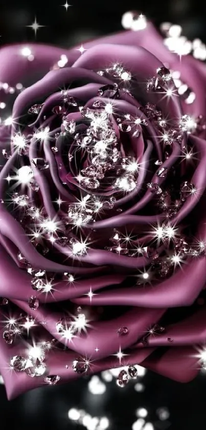 Purple rose with sparkling details on a dark background.