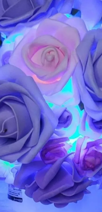 Elegant purple roses glowing softly in this mobile wallpaper.