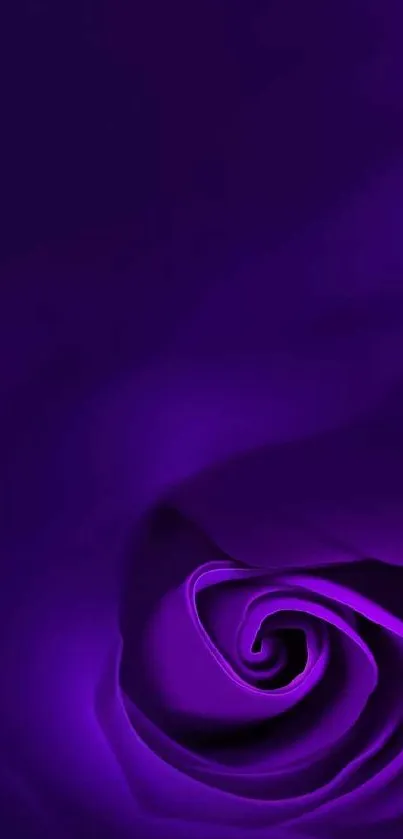 Elegant purple rose wallpaper with deep hues.