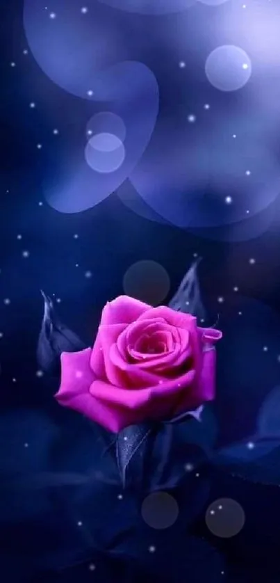 Elegant purple rose on dark blue background wallpaper.