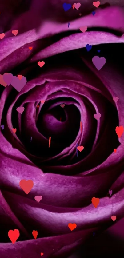 Close-up of a purple rose showcasing elegant petal patterns.