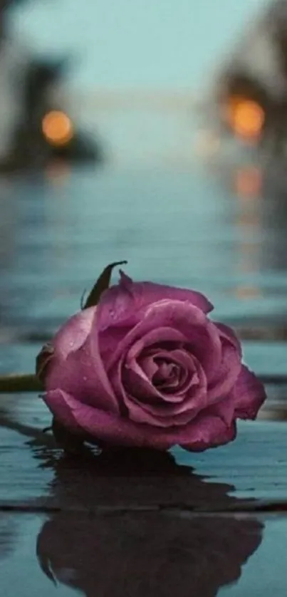 A serene purple rose on a reflective surface as mobile wallpaper.