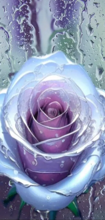 Purple rose with raindrops on mobile wallpaper.