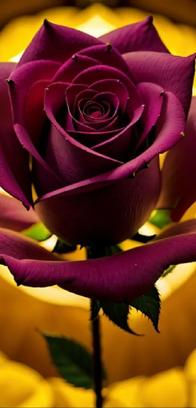 Elegant purple rose with yellow background for mobile wallpaper.