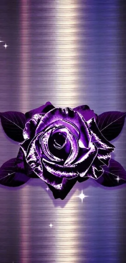 Purple rose with metallic background wallpaper.