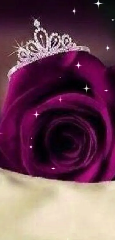 Close-up of deep purple rose with a tiara.