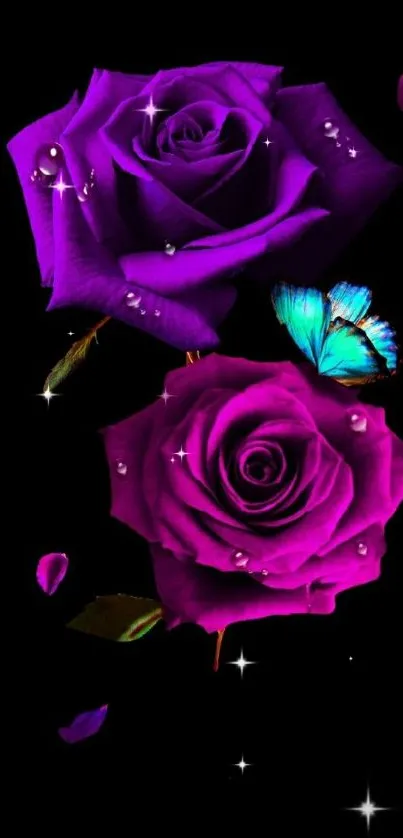 Purple roses and butterfly on dark mobile wallpaper.