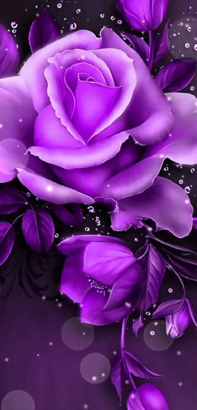 Elegant purple rose wallpaper with floral design.