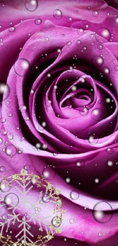 Purple rose wallpaper with droplets and elegant design.