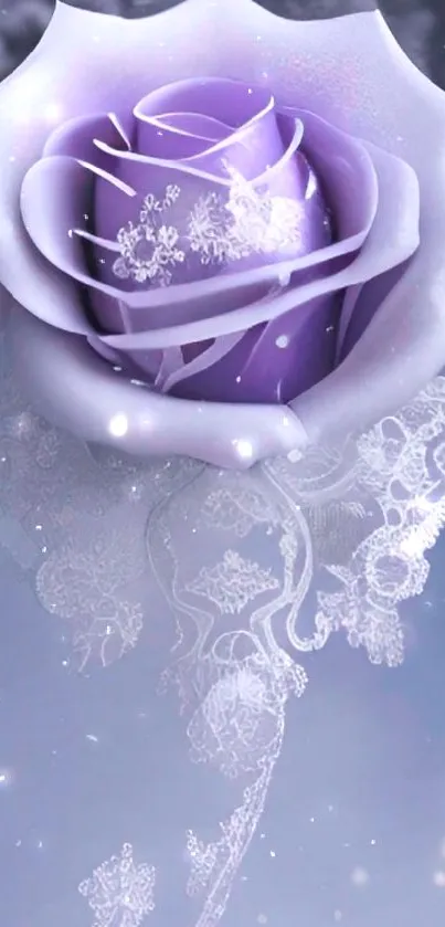 Purple rose with lace background mobile wallpaper.