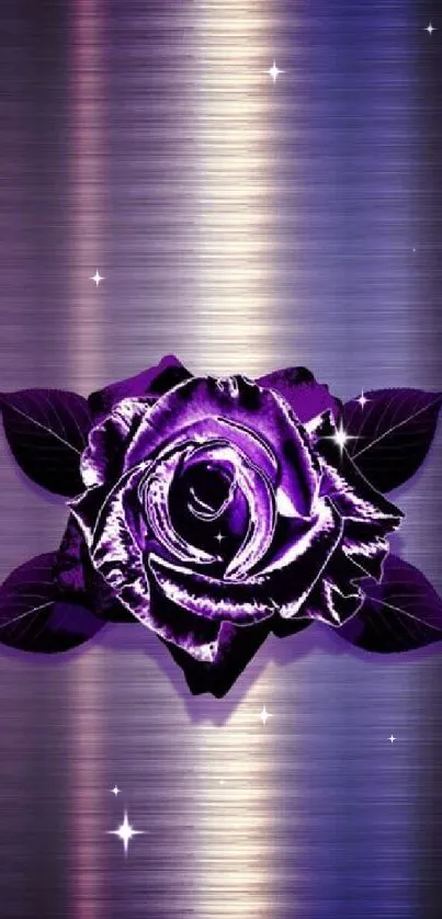 Elegant purple rose on metallic background wallpaper.