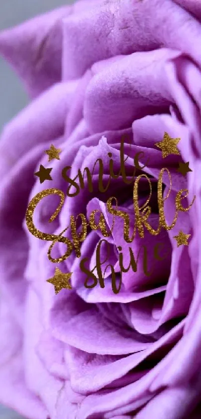 Elegant purple rose wallpaper with delicate petals.