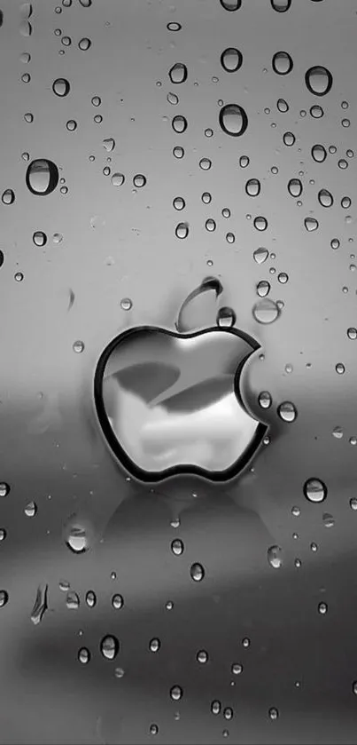 Apple logo with water drops on a sleek silver background.