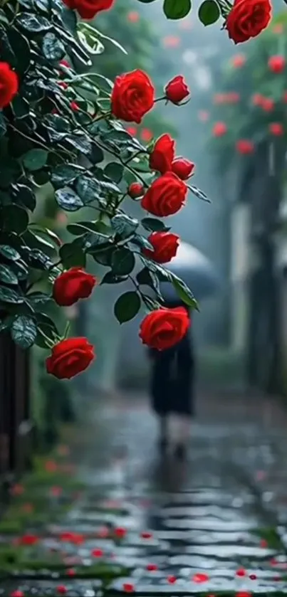 Red roses by a rainy path with a distant figure and umbrella.