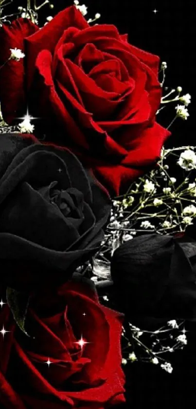 Red and black roses on dark background.