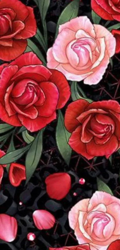 Red and pink roses on a dark background wallpaper.