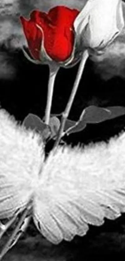 Red and white rose with angel wings on a dark cloudy background.