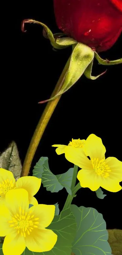 Red rose with yellow flowers on a black background.