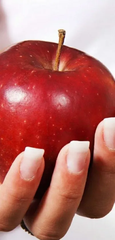 Mobile wallpaper of a hand holding a red apple.