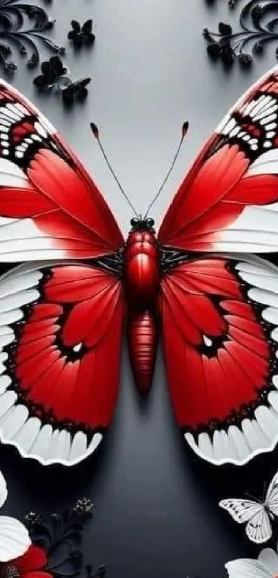 Elegant red butterfly with black and white accents, set against a dark background.