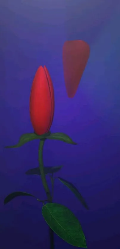 Mobile wallpaper of a red flower against a deep blue background.