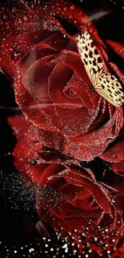 Elegant red rose with a butterfly on a dark background.