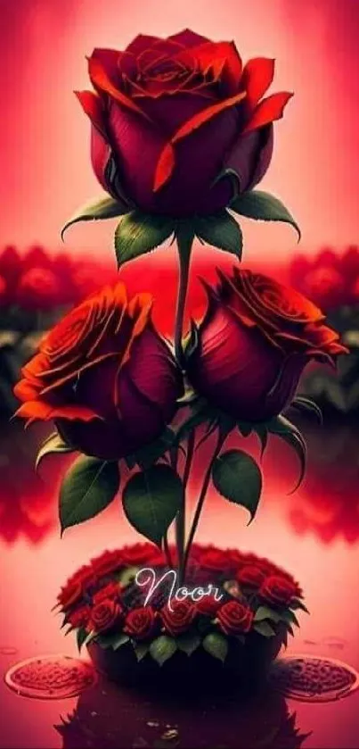 Elegant mobile wallpaper with three red roses in artistic setting.
