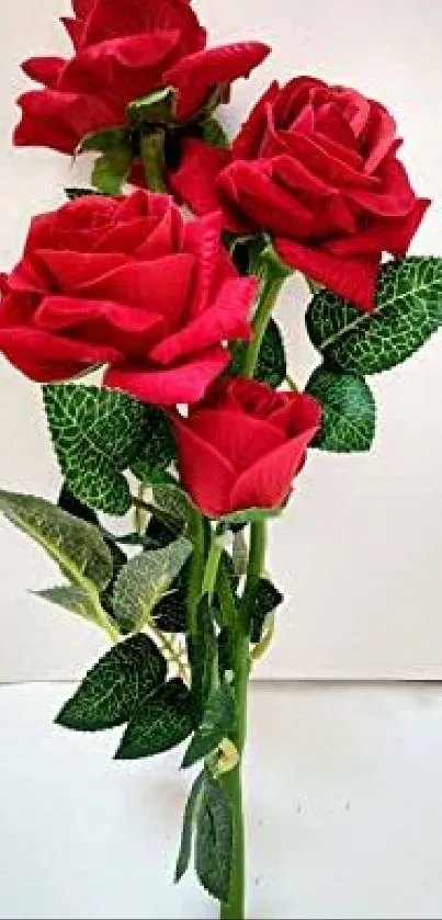 Beautiful bouquet of red roses with green leaves against a soft background.