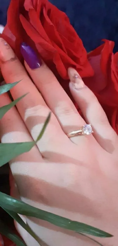 Hand with a diamond ring holding a vibrant red rose.